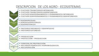 DESCRIPCION DE LOS AGRO - ECOSISTEMAS 
 