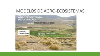 MODELOS DE AGRO-ECOSISTEMAS 
 