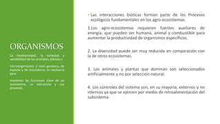 ORGANISMOS 
• Las interacciones bióticas forman parte de los Procesos 
ecológicos fundamentales en los agro-ecosistemas. 
1.Los agro-ecosistemas requieren fuentes auxiliares de 
energía, que pueden ser humana, animal y combustible para 
aumentar la productividad de organismos específicos. 
2. La diversidad puede ser muy reducida en comparación con 
la de otros ecosistemas. 
3. Los animales y plantas que dominan son seleccionados 
artificialmente y no por selección natural. 
4. Los controles del sistema son, en su mayoría, externos y no 
internos ya que se ejercen por medio de retroalimentación del 
subsistema. 
La biodiversidad, la variedad y 
variabilidad de los animales, plantas y 
microorganismos a nivel genético, de 
especie y de ecosistema, es necesaria 
para 
mantener las funciones clave de un 
ecosistema, su estructura y sus 
procesos. 
 