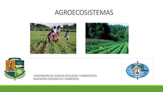 AGROECOSISTEMAS 
UNIVERSIDAD DE CIENCIAS APLICADAS Y AMBIENTALES 
INGENIERÍA GEOGRÁFICA Y AMBIENTAL 
 