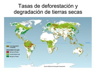 Tasas de deforestación y degradación de tierras secas 