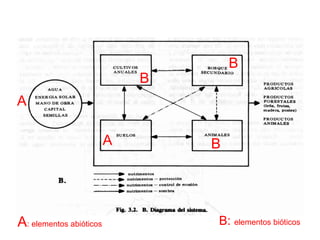 A A B B B A : elementos abióticos B:  elementos bióticos 