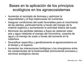 Bases en la aplicación de los principios ecológicos en los agroecosistemas Aumentar el reciclado de biomasa y optimizar la disponibilidad y el flujo balanceado de nutrientes. Asegurar condiciones del suelo favorables para el crecimiento de las plantas, particularmente a través del manejo de la materia orgánica y aumentando la actividad biótica del suelo. Minimizar las pérdidas debidas a flujos de radiación solar, aire y agua mediante el manejo del microclima, cosecha de agua y el manejo de suelo a través del aumento en la cobertura. Diversificar específica y genéticamente el agroecosistema en el tiempo y el espacio. Aumentar las interacciones biológicas y los sinergismos entre los componentes de la biodiversidad promoviendo procesos y servicios ecológicos claves. (Reinjntjes et al., 1992) 