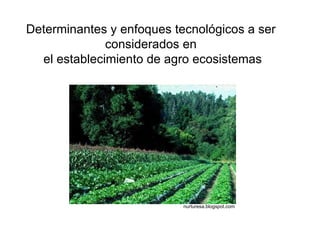 Determinantes y enfoques tecnológicos a ser  considerados en  el establecimiento de agro ecosistemas nurturesa.blogspot.com 