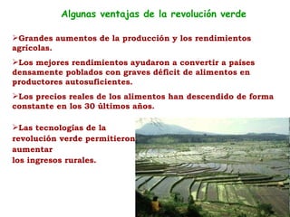 Grandes aumentos de la producción y los rendimientos agrícolas.  Los mejores rendimientos ayudaron a convertir a países densamente poblados con graves déficit de alimentos en productores autosuficientes.  Los precios reales de los alimentos han descendido de forma constante en los 30 últimos años. Las tecnologías de la  revolución verde permitieron  aumentar  los ingresos rurales.  Algunas ventajas de la revolución verde 