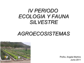 IV PERIODO  ECOLOGIA Y FAUNA SILVESTRE AGROECOSISTEMAS Profra. Angela Martino Junio 2011 inforural.com.mx 