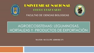 AGROECOSISTEMAS: LEGUMINOSAS,
HORTALIZAS Y PRODUCTOS DE EXPORTACIÓN
UNIVERSIDAD NACIONAL
PEDRO RUIZ GALLO
FACULTAD DE CIENCIAS BIOLOGICAS
MATOS SUCLUPE ADDERLYN
 