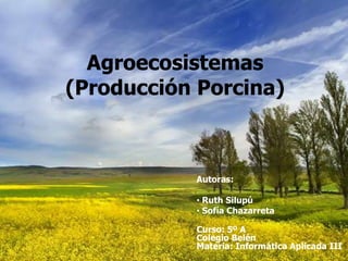 Agroecosistemas
(Producción Porcina)



           Autoras:

           • Ruth Silupú
           • Sofía Chazarreta

           Curso: 5º A
           Colegio Belén
           Materia: Informática Aplicada III
 