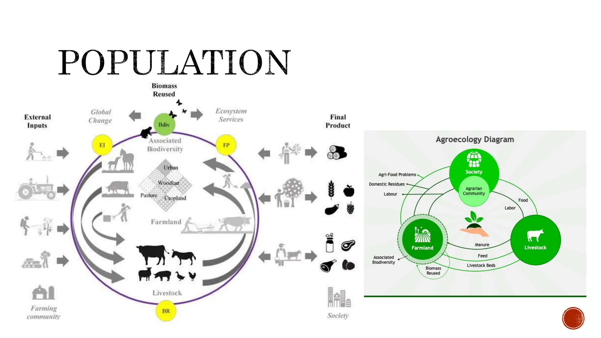 AGRICULTURAL ECOSYSTEM AND THER OUTLINE.pptx