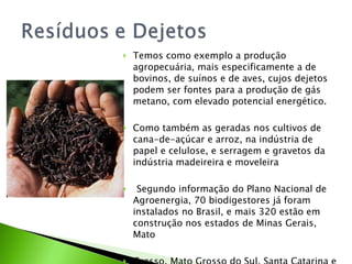 Temos como exemplo a produção agropecuária, mais especificamente a de bovinos, de suínos e de aves, cujos dejetos podem ser fontes para a produção de gás metano, com elevado potencial energético. Como também as geradas nos cultivos de cana-de-açúcar e arroz, na indústria de papel e celulose, e serragem e gravetos da indústria madeireira e moveleira   Segundo informação do Plano Nacional de Agroenergia, 70 biodigestores já foram instalados no Brasil, e mais 320 estão em construção nos estados de Minas Gerais, Mato Grosso, Mato Grosso do Sul, Santa Catarina e Goiás. Esses estados apresentam presença significativa do setor de suinocultura. 