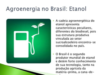 A cadeia agroenergética do etanol apresenta características peculiares, diferentes do biodiesel, pois sua estrutura produtiva vinculada ao setor sucroalcooleiro encontra-se consolidada no país.  O Brasil é o segundo produtor mundial de etanol e detém forte conhecimento de sua tecnologia, tanto na produção agrícola da matéria-prima, a cana-de-açúcar, como em seu processo industrial. 