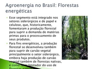 Esse segmento está integrado nos setores siderúrgicos e de papel e celulose, que, historicamente, fomentaram a produção florestal para suprir a demanda de matérias primas para o processamento de seus produtos.  Para fins energéticos, a produção florestal se desenvolveu também para suprir de carvão vegetal principalmente o setor siderúrgico, embora haja produção de carvão vegetal também de florestas nativas, e como fator limitador do uso de florestas nativas. 