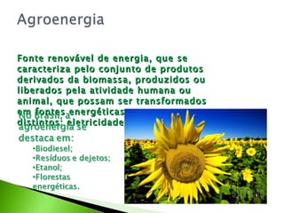 Fonte renovável de energia, que se caracteriza pelo conjunto de produtos derivados da biomassa, produzidos ou liberados pela atividade humana ou animal, que possam ser transformados em fontes energéticas para usos distintos: eletricidade, calor e transporte. 