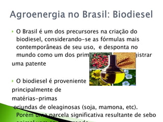 O Brasil é um dos precursores na criação do biodiesel, considerando-se as fórmulas mais contemporâneas de seu uso,  e desponta no mundo como um dos primeiros países a registrar  uma patente O biodiesel é proveniente  principalmente de  matérias-primas oriundas de oleaginosas (soja, mamona, etc). Porém uma parcela significativa resultante de sebo animal vem se destacando.  