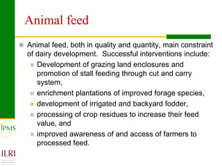 Promoting agro-enterprises in the highlands of Ethiopia through improved institutional support services: Experiences of market-oriented dairy and fattening development