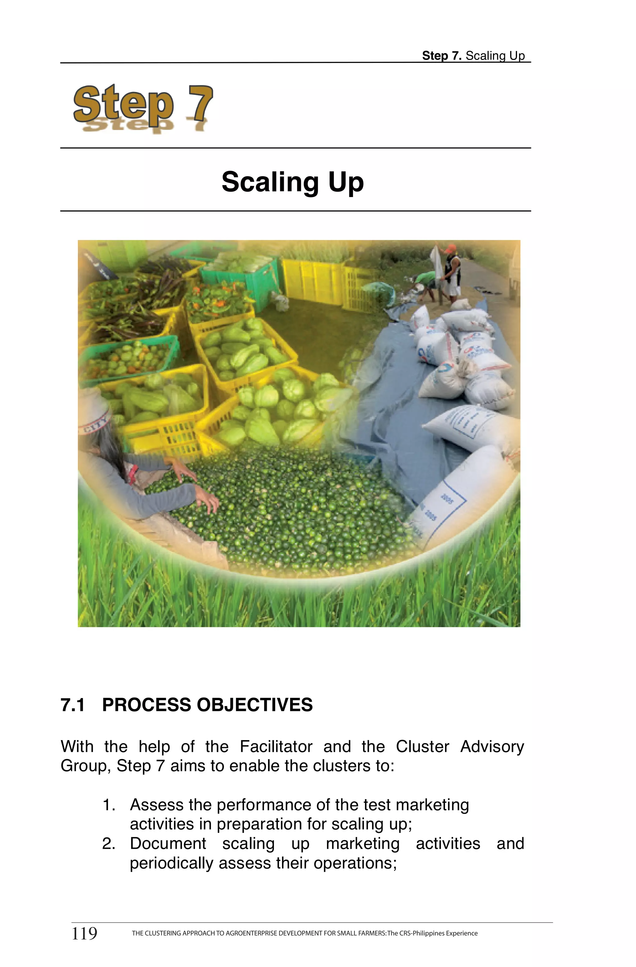 Step 7. Scaling Up




                                       Scaling Up




7.1 PROCESS OBJECTIVES

With the help of the Facilitator and the Cluster Advisory
Group, Step 7 aims to enable the clusters to:

       1. Assess the performance of the test marketing
          activities in preparation for scaling up;
       2. Document scaling up marketing activities and
          periodically assess their operations;

       THE CLUSTERING APPROACH TO AGROENTERPRISE DEVELOPMENT FOR SMALL FARMERS: The CRS-Philippines Experience
119
 119         THE CLUSTERING APPROACH TO AGROENTERPRISE DEVELOPMENT FOR SMALL FARMERS: The CRS-Philippines Experience
 