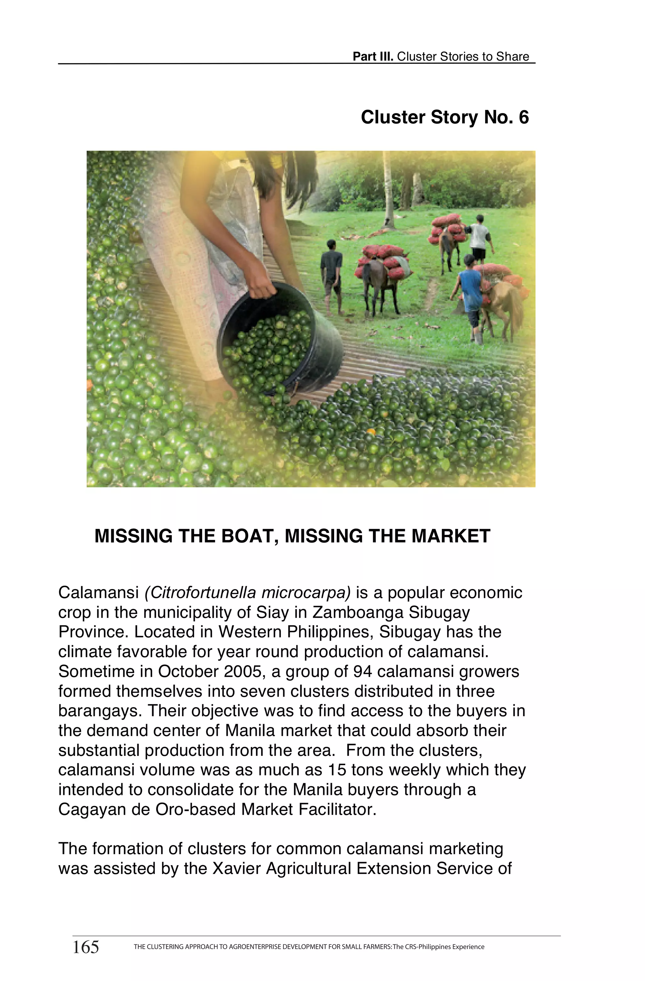 Part III. Cluster Stories to Share




                                                                                Cluster Story No. 6




    MISSING THE BOAT, MISSING THE MARKET

Calamansi (Citrofortunella microcarpa) is a popular economic
crop in the municipality of Siay in Zamboanga Sibugay
Province. Located in Western Philippines, Sibugay has the
climate favorable for year round production of calamansi.
Sometime in October 2005, a group of 94 calamansi growers
formed themselves into seven clusters distributed in three
barangays. Their objective was to find access to the buyers in
the demand center of Manila market that could absorb their
substantial production from the area. From the clusters,
calamansi volume was as much as 15 tons weekly which they
intended to consolidate for the Manila buyers through a
Cagayan de Oro-based Market Facilitator.

The formation of clusters for common calamansi marketing
was assisted by the Xavier Agricultural Extension Service of

       THE CLUSTERING APPROACH TO AGROENTERPRISE DEVELOPMENT FOR SMALL FARMERS: The CRS-Philippines Experience
165
 165          THE CLUSTERING APPROACH TO AGROENTERPRISE DEVELOPMENT FOR SMALL FARMERS: The CRS-Philippines Experience
 
