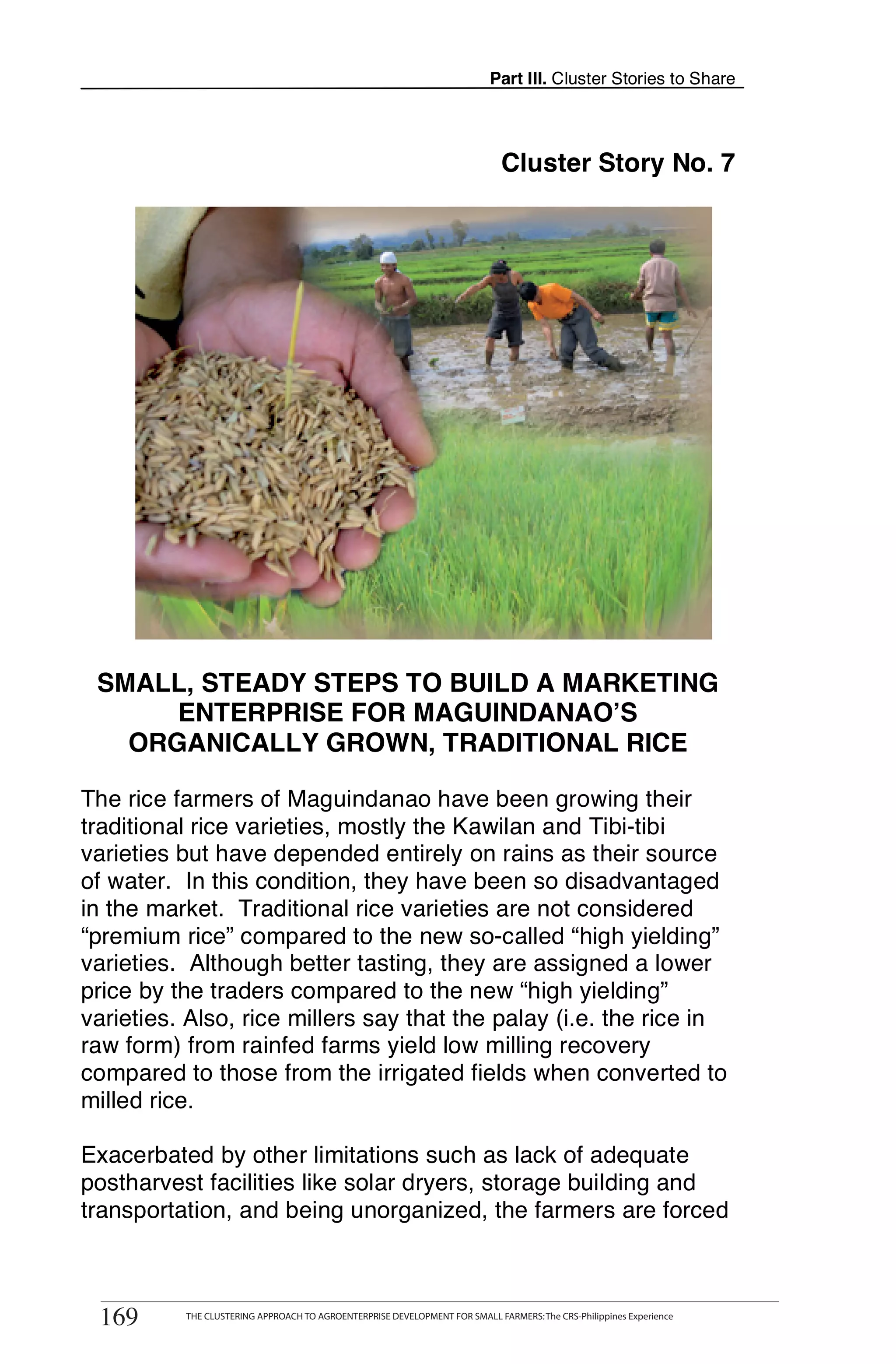 Part III. Cluster Stories to Share




                                                                                Cluster Story No. 7




 SMALL, STEADY STEPS TO BUILD A MARKETING
      ENTERPRISE FOR MAGUINDANAO’S
   ORGANICALLY GROWN, TRADITIONAL RICE

The rice farmers of Maguindanao have been growing their
traditional rice varieties, mostly the Kawilan and Tibi-tibi
varieties but have depended entirely on rains as their source
of water. In this condition, they have been so disadvantaged
in the market. Traditional rice varieties are not considered
“premium rice” compared to the new so-called “high yielding”
varieties. Although better tasting, they are assigned a lower
price by the traders compared to the new “high yielding”
varieties. Also, rice millers say that the palay (i.e. the rice in
raw form) from rainfed farms yield low milling recovery
compared to those from the irrigated fields when converted to
milled rice.

Exacerbated by other limitations such as lack of adequate
postharvest facilities like solar dryers, storage building and
transportation, and being unorganized, the farmers are forced

       THE CLUSTERING APPROACH TO AGROENTERPRISE DEVELOPMENT FOR SMALL FARMERS: The CRS-Philippines Experience
169
 169          THE CLUSTERING APPROACH TO AGROENTERPRISE DEVELOPMENT FOR SMALL FARMERS: The CRS-Philippines Experience
 