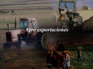 Agro exportaciones
 