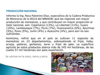 PRODUCCIÓN NACIONAL 
Informo la Ing. Rosa Palomino Díaz, especialista de la Cadena Productiva 
de Menestras de la DGCA del MINAGRI; que las regiones con mayor 
producción de menestras, y que contribuyen en mayor proporción al 
total nacional, son: Cajamarca (13%), La Libertad (11%), Cusco 
(10%), Lambayeque (7%), Piura (7%), Huancavelica (6%), Apurímac 
(5%), Puno (5%), Junín (4%) y Ayacucho (4%), pero aún no son 
suficientes. 
Asimismo, refirió que en el país se cultivan 11 especies de 
menestras en 23 departamentos, sobresaliendo el frijol, haba, 
arveja, pallares, garbanzo, tarwi y frijol de palo. La superficie 
agrícola de estos productos abarca más de 245 mil hectáreas, de las 
cuales 57 mil hectáreas son para exportación. 
Se cultivan en la costa, sierra y selva. 
 