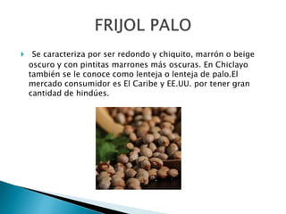  Se caracteriza por ser redondo y chiquito, marrón o beige 
oscuro y con pintitas marrones más oscuras. En Chiclayo 
también se le conoce como lenteja o lenteja de palo.El 
mercado consumidor es El Caribe y EE.UU. por tener gran 
cantidad de hindúes. 
 