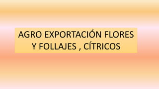 AGRO EXPORTACIÓN FLORES 
Y FOLLAJES , CÍTRICOS 
 