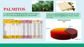PALMITOS 
La Exportación de Palmitos en el 2014 a Febrero llega a 
los U$ 614 mil a un precio de U$ 2.81 kilo promedio. 
Francia es el principal destino con U$ 394 mil (64% 
del total), le siguen Argentina U$ 178 mil y España 
U$ 42 mil. 
 