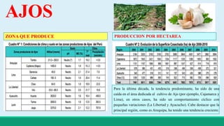 AJOS 
ZONA QUE PRODUCE PRODUCCION POR HECTAREA 
Para la última década, la tendencia predominante, ha sido de una 
caída en el área dedicada al cultivo de Ajo (por ejemplo, Cajamarca y 
Lima), en otros casos, ha sido un comportamiento cíclico con 
pequeñas variaciones (La Libertad y Ayacucho). Cabe destacar que la 
principal región, como es Arequipa, ha tenido una tendencia creciente. 
 