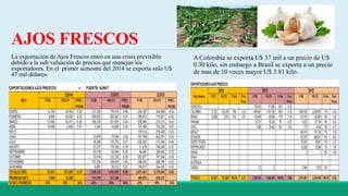 AJOS FRESCOS 
La exportación de Ajos Frescos entró en una crisis previsible 
debido a la sub valuación de precios que manejan los 
exportadores. En el primer semestre del 2014 se exporta sólo U$ 
47 mil dólares. 
A Colombia se exporta U$ 37 mil a un precio de U$ 
0.30 kilo, sin embargo a Brasil se exporta a un precio 
de mas de 10 veces mayor U$ 3.81 kilo. 
 