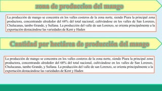 zona de produccion del mango 
La producción de mango se concentra en los valles costeros de la zona norte, siendo Piura la principal zona 
productora, concentrando alrededor del 68% del total nacional, cultivándose en los valles de San Lorenzo, 
Chulucanas, tambo Grande, y Sullana. La producción del valle de san Lorenzo, se orienta principalmente a la 
exportación destacándose las variedades de Kent y Haden 
Cantidad por hectárea de producción del mango 
La producción de mango se concentra en los valles costeros de la zona norte, siendo Piura la principal zona 
productora, concentrando alrededor del 68% del total nacional, cultivándose en los valles de San Lorenzo, 
Chulucanas, tambo Grande, y Sullana. La producción del valle de san Lorenzo, se orienta principalmente a la 
exportación destacándose las variedades de Kent y Haden 
 