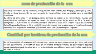 zona de producción de la uva 
Las zonas productoras de vid en el Perú principalmente están en Lima, Ica, Arequipa, Moquegua y Tacna. 
Siendo el Departamento de Ica que presento las características mas apropiadas para la actividad 
vitivinícola. 
Su clima es semi-calido y las precipitaciones pluviales es escasa y las temperaturas medias son 
saludablemente uniformes, en época de verano las temperaturas fluctúa entre los 20 y 30 grados 
centígrados, la humedad en Ica presenta promedios inferiores a otras zonas costeras lo cual es altamente 
favorable para el cultivo de la vid, la insolación promedio es superior a otras zonas de la costa lo cual resulta 
ventajoso para asegurar un alto índice glucométrico en las uvas.(pueden llegar a 16 grados) 
Cantidad por hectárea de producción de la uva 
En los últimos cinco años la exportación de uva fresca ha crecido a un ritmo anual de 41.5% hasta alcanzar 
los US$ 33.9 millones (19 mil TM) en 2005, en un entorno donde la demanda de los principales destinos 
peruanos continuó expandiéndose y a la vez se incursionó a mercados con fuerte potencial de crecimiento, 
tal como el asiático. 
 