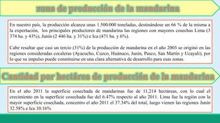 zona de producción de la mandarina 
En nuestro país, la producción alcanza unas 1.500.000 toneladas, destinándose un 66 % de la misma a 
la exportación, los principales productores de mandarina las regiones con mayores cosechas Lima (3 
374 ha. y 43%), Junín (2 446 ha. y 31%) e Ica (471 ha. y 6%). 
Cabe resaltar que casi un tercio (31%) de la producción de mandarina en el año 2003 se originó en las 
regiones consideradas cocaleras (Ayacucho, Cuzco, Huánuco, Junín, Pasco, San Martín y Ucayali), por 
lo que su impulso puede constituirse en una clara alternativa de desarrollo para esas zonas. 
Cantidad por hectárea de producción de la mandarina 
En el año 2011 la superficie cosechada de mandarinas fue de 11,214 hectáreas, con lo cual el 
crecimiento en la superficie cosechada fue del 6.47% respecto al año 2011. Lima fue la región con la 
mayor superficie cosechada, concentro el año 2011 el 37.34% del total, luego vienen las regiones Junín 
32.58% e Ica 10.16% 
 