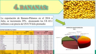 4. BANANAS: 
La exportación de Banano-Plátanos en el 2014 a 
Julio, se incrementa 29% alcanzando los U$ 65.1 
millones a un precio de U$ 0.74 kilo promedio 
 