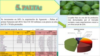 5. PALTA: 
Se incrementa en 84% la exportación de Aguacate – Paltas al 
primer Semestre del 2014. Son U$ 165 millones a un precio en alza 
de U$ 1.78 kilo promedio. 
La palta Hass es uno de los productos 
más demandados por el mercado 
europeo, cuyas exportaciones crecen a 
un ritmo anual de 25%. 
 