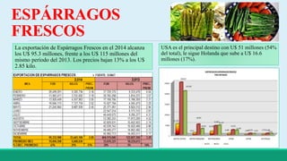 ESPÁRRAGOS 
FRESCOS 
USA es el principal destino con U$ 51 millones (54% 
del total), le sigue Holanda que sube a U$ 16.6 
millones (17%). 
La exportación de Espárragos Frescos en el 2014 alcanza 
los U$ 95.3 millones, frente a los U$ 115 millones del 
mismo período del 2013. Los precios bajan 13% a los U$ 
2.85 kilo. 
 