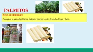PALMITOS 
ZONA QUE PRODUCE 
Produce en la región San Martin, Huánuco, Ucayali, Loreto, Ayacucho, Cusco y Puno. 
 