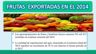 Agroexportación de frutas y verduras