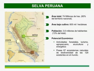 SELVA PERUANA Área total:  74 Millones de has. (60% del territorio nacional). Población:  3.6 millones de habitantes  (13% del total). Potencial Económico: Actividades forestales, turismo, agropecuario, acuicultura y energético Posee 67 ecosistemas naturales de biodiversidad de las 129 existentes en el mundo. Área bajo cultivo:  600 mil  hectáreas  
