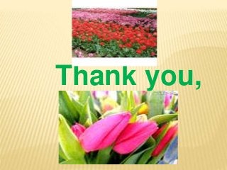 Thank you,
 