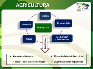 AGRICULTURA
Energia
Ornamentais
Medicinais/
condimentaresFibras
Alimento
AGRICULTURA
tendências
 Aumento do Consumo
 Novos Padrões de Alimentação
 Alteração da Matriz Energética
 Exigências quanto à Qualidade
 