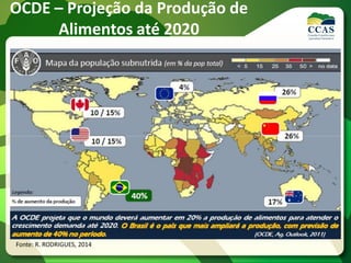 OCDE – Projeção da Produção de
Alimentos até 2020
Fonte: R. RODRIGUES, 2014
 