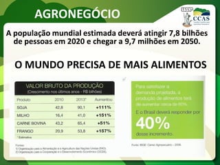 AGRONEGÓCIO
A população mundial estimada deverá atingir 7,8 bilhões
de pessoas em 2020 e chegar a 9,7 milhões em 2050.
O MUNDO PRECISA DE MAIS ALIMENTOS
 