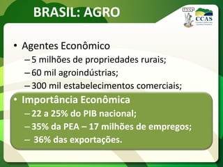 BRASIL: AGRO
• Agentes Econômico
– 5 milhões de propriedades rurais;
– 60 mil agroindústrias;
– 300 mil estabelecimentos comerciais;
• Importância Econômica
– 22 a 25% do PIB nacional;
– 35% da PEA – 17 milhões de empregos;
– 36% das exportações.
 