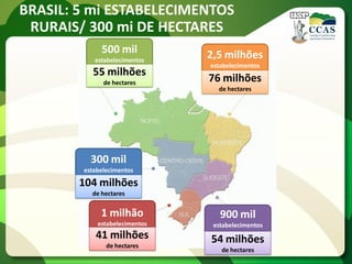 BRASIL: 5 mi ESTABELECIMENTOS
RURAIS/ 300 mi DE HECTARES
76 milhões
de hectares
2,5 milhões
estabelecimentos
54 milhões
de hectares
900 mil
estabelecimentos
1 milhão
estabelecimentos
41 milhões
de hectares
300 mil
estabelecimentos
104 milhões
de hectares
500 mil
estabelecimentos
55 milhões
de hectares
 