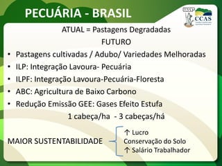 ATUAL = Pastagens Degradadas
FUTURO
• Pastagens cultivadas / Adubo/ Variedades Melhoradas
• ILP: Integração Lavoura- Pecuária
• ILPF: Integração Lavoura-Pecuária-Floresta
• ABC: Agricultura de Baixo Carbono
• Redução Emissão GEE: Gases Efeito Estufa
1 cabeça/ha - 3 cabeças/há
MAIOR SUSTENTABILIDADE
PECUÁRIA - BRASIL
↑ Lucro
Conservação do Solo
↑ Salário Trabalhador
 