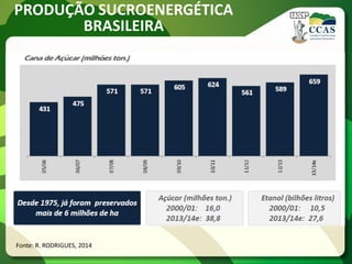 PRODUÇÃO SUCROENERGÉTICA
BRASILEIRA
Fonte: R. RODRIGUES, 2014
 