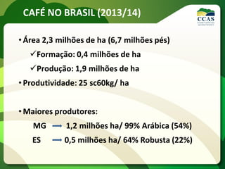 CAFÉ NO BRASIL (2013/14)
• Área 2,3 milhões de ha (6,7 milhões pés)
Formação: 0,4 milhões de ha
Produção: 1,9 milhões de ha
• Produtividade: 25 sc60kg/ ha
• Maiores produtores:
MG 1,2 milhões ha/ 99% Arábica (54%)
ES 0,5 milhões ha/ 64% Robusta (22%)
 