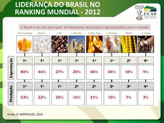 LIDERANÇA DO BRASIL NO
RANKING MUNDIAL - 2012
Fonte: R. RODRIGUES, 2014
 