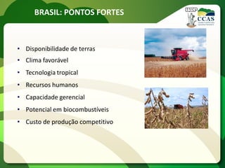 BRASIL: PONTOS FORTES
• Disponibilidade de terras
• Clima favorável
• Tecnologia tropical
• Recursos humanos
• Capacidade gerencial
• Potencial em biocombustíveis
• Custo de produção competitivo
 