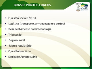 BRASIL: PONTOS FRACOS
• Questão social : NR 31
• Logística (transporte, armazenagem e portos)
• Desenvolvimento da biotecnologia
• Tributação
• Seguro rural
• Marco regulatório
• Questão fundiária
• Sanidade Agropecuária
 